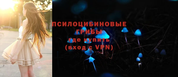 таблы Богородск