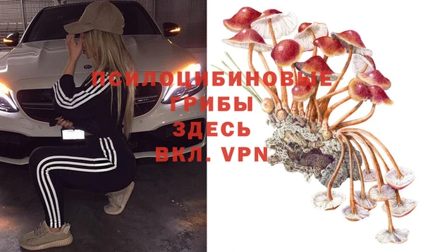 jwh Нязепетровск