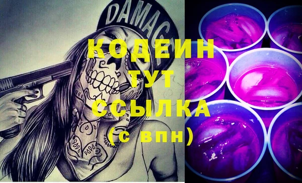 стаф Нея