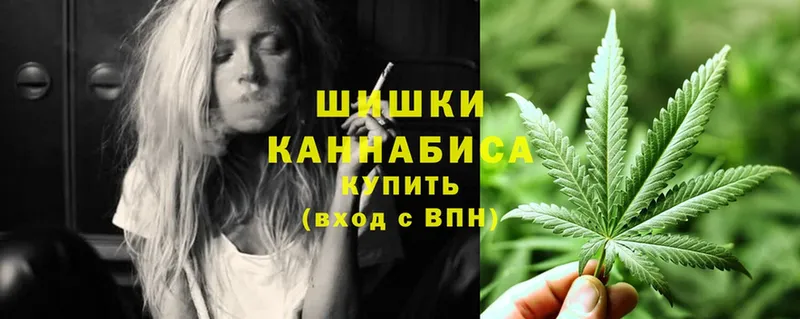 Бошки марихуана Amnesia  наркошоп  Инсар 